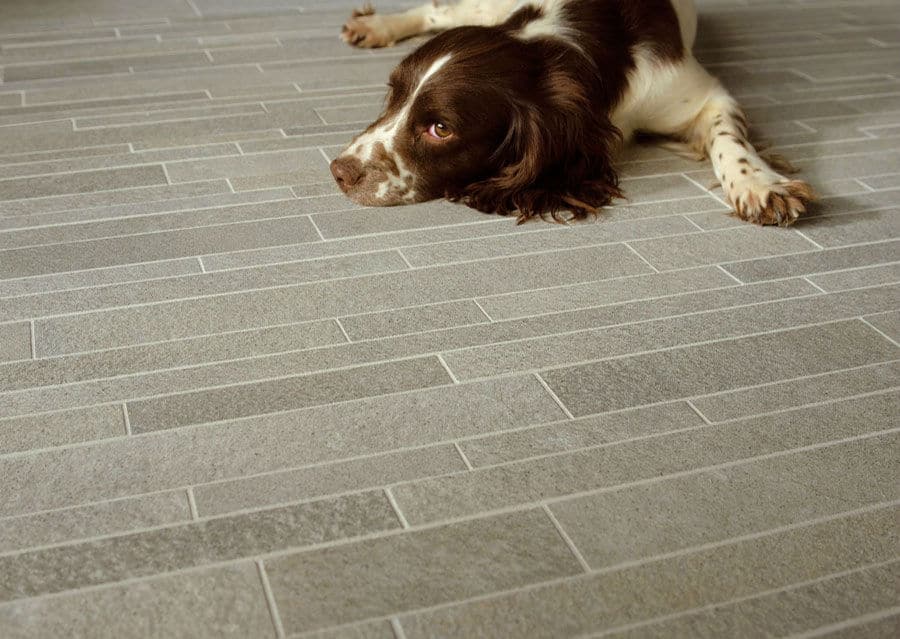 Porcelain stoneware tiles grey with dog lying on it