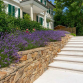 Stone wall and stairs natural stone
