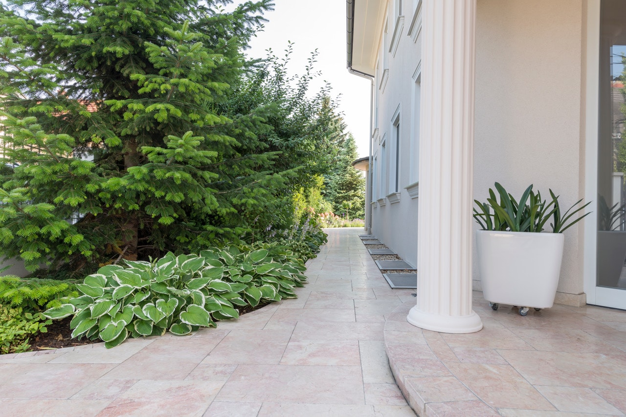 Levante Crema Rosé antik im Römischen Verband-7